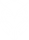 Nyxus OS